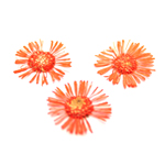 ���������� ���������