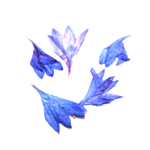 ���� �����