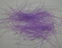 ���� ���������������