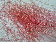 ���� ��������������� �������